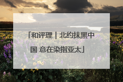 和评理｜北约抹黑中国 意在染指亚太